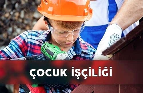  GRI 408: Çocuk İşçiliği