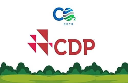 CDP Raporu Nedir?