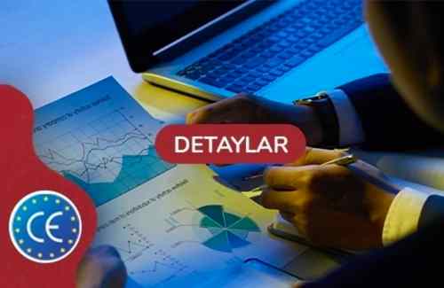 Deprem Performans Analizi