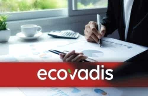 EcoVadis Derecelendirme Hizmetinin Faydaları