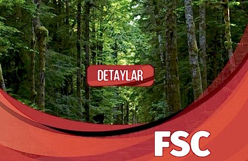 FSC Belgesi
