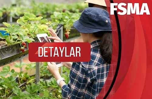 Gıda Güvenliği Modernizasyonu Yasası (FSMA)