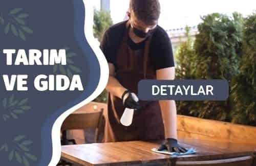 Gıda İşletmelerinde Hijyen ve Sanitasyon Denetimi