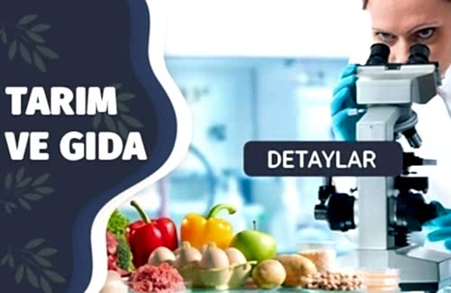 Gıda Sektörü Kalite Ve Gıda Güvenliği Sertifikaları