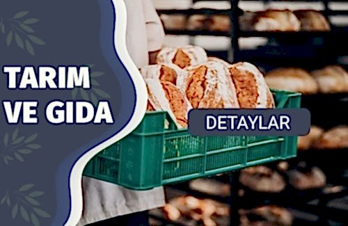 Gıda Tesisleri İçin Çevresel İzleme Programı (EMP)