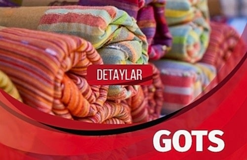 GOTS Belgesi