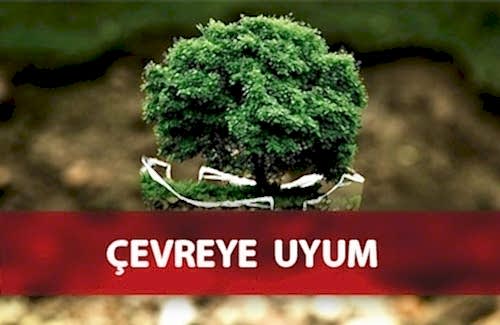 GRI 307: ÇEVREYE UYUM