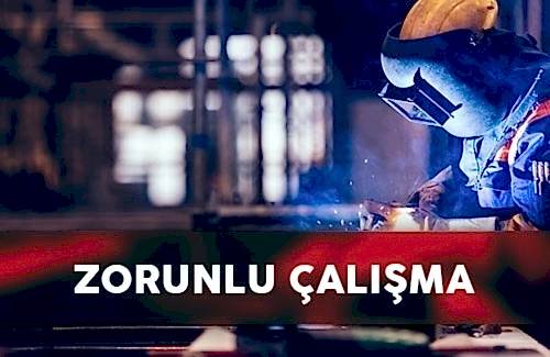GRI 409: Zorunlu Tutulan veya Mecburi Çalışma