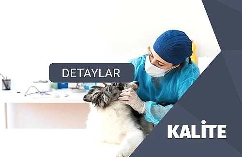 GVP Belgesi (İyi Veteriner Uygulamaları)