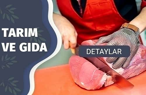 Helal Gıda Sertifikası