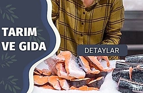 ISO TC 234 Balıkçılık ve Su Ürünleri Agriculture Belgesi 