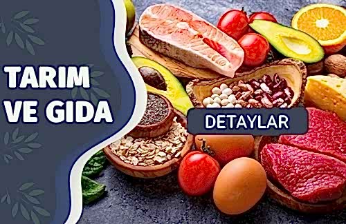 Organik Gıda Belgesi