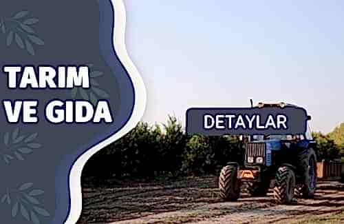 Organik Tarım Belgesi