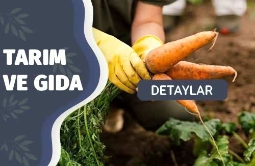 Sebze ve Meyve Üretiminde Gıda Güvenliği Yönetim Sistemi 