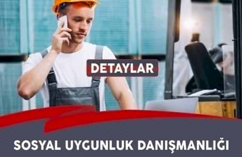 SEDEX Danışmanlığı