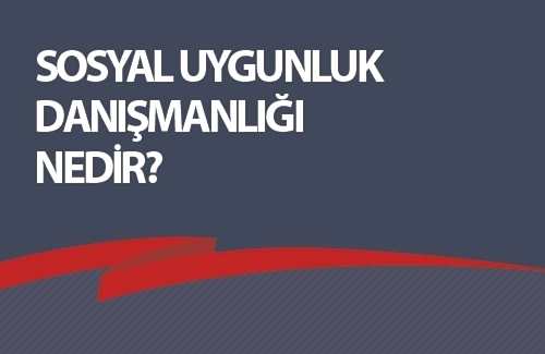 Sosyal Uygunluk Danışmanlığı Nedir?