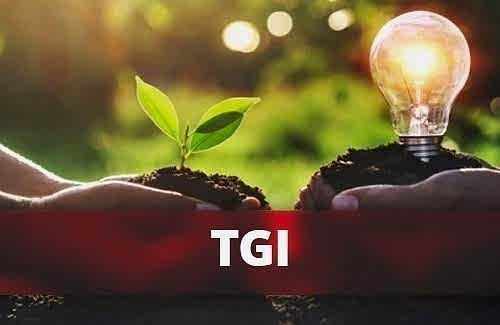 TGI Think Green Initiative Belgesi