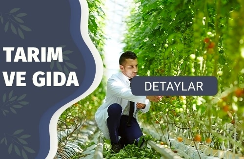 USDA (ABD Tarım Bakanlığı) Belgesi