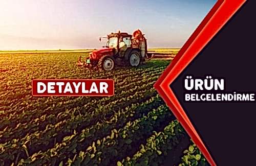 VCA (Vehicle Certification Agency) Belgesi