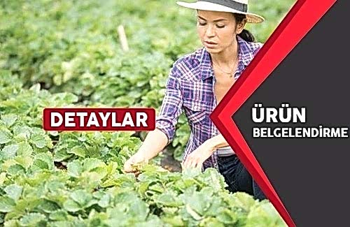 Yerli Malı Belgesi